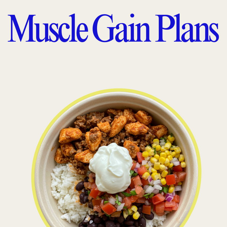 Muscle Gain Plans (Bulking-High Protein Clean Calories)