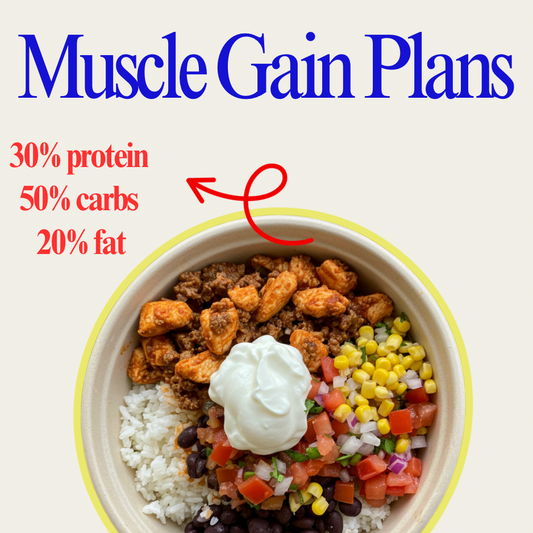 Muscle Gain Plans (Bulking-High Protein Clean Calories)